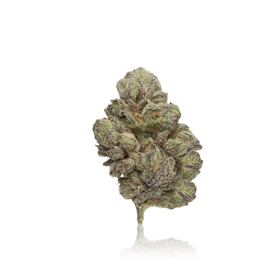 Exotic Flower