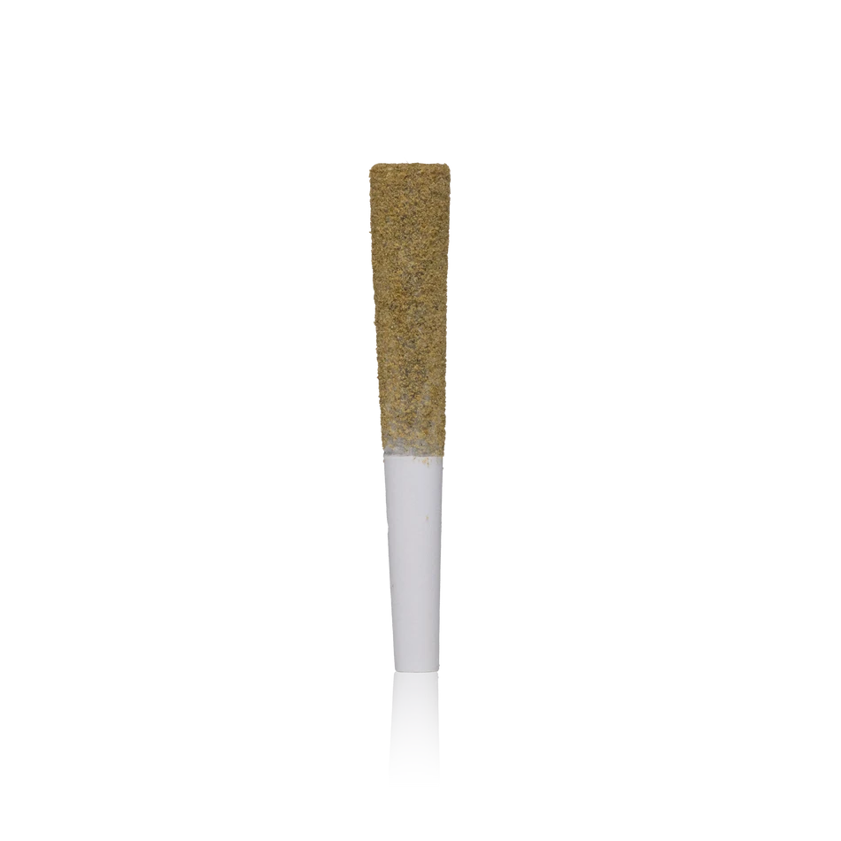 Infused w/ Live Rosin & Kief Rocks Pre-rolls