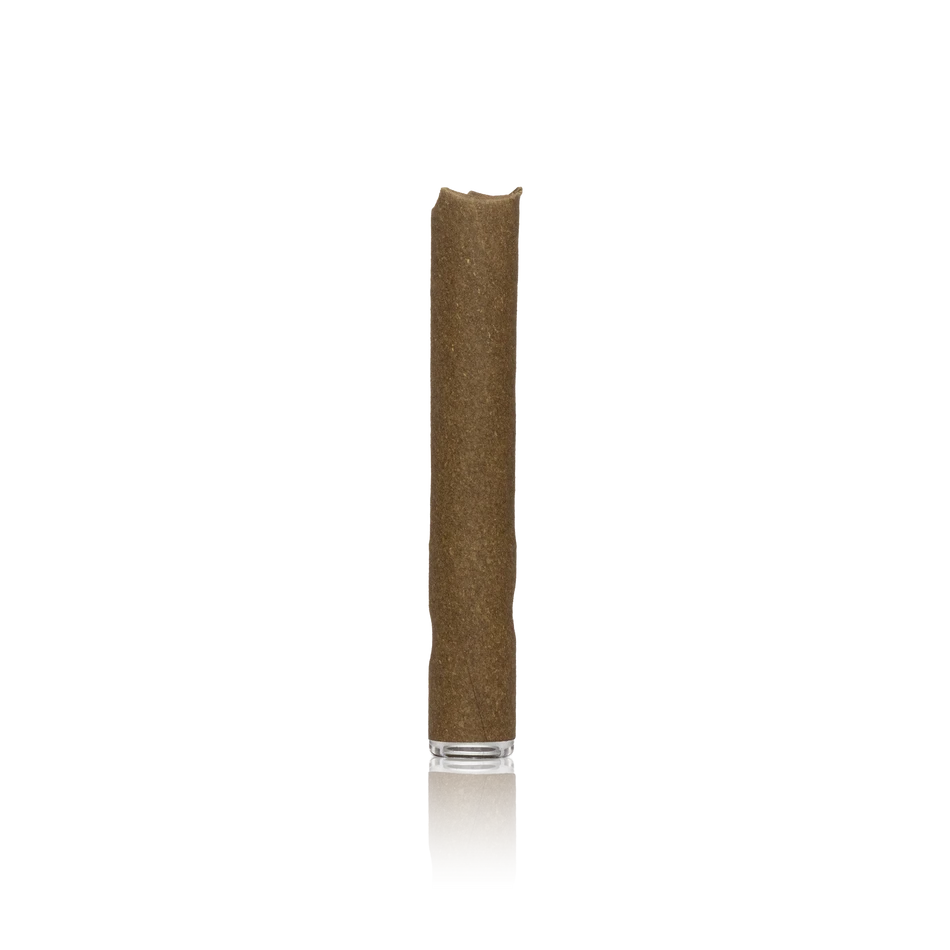 Premium Infused Blunt
