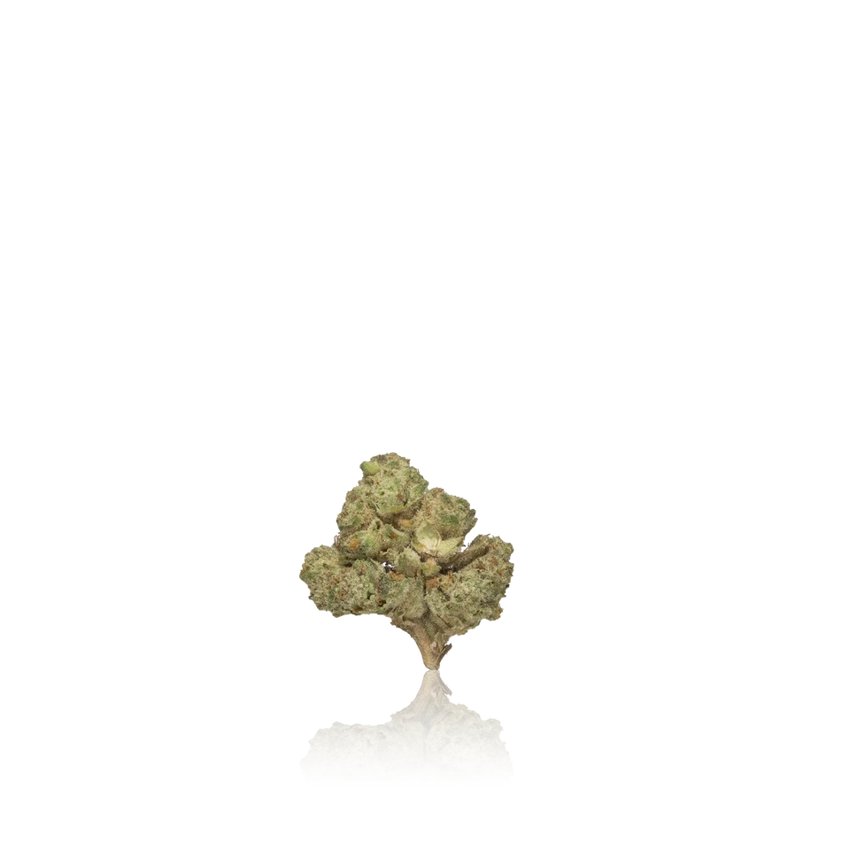 1/8th