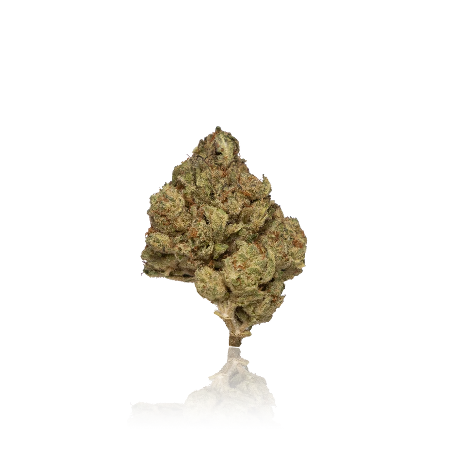 Premium Indoor Flower