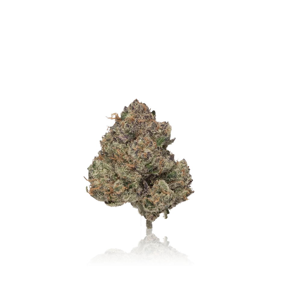 Exotic Flower