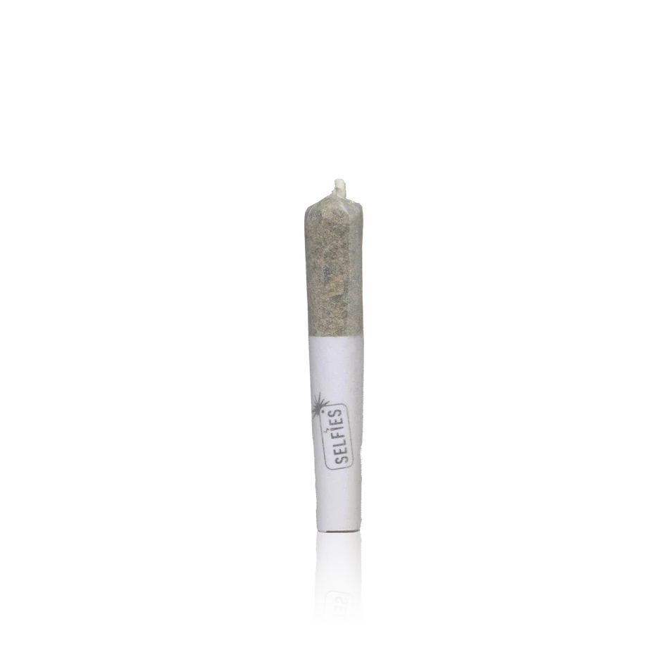 Mini Prerolls 12PK
