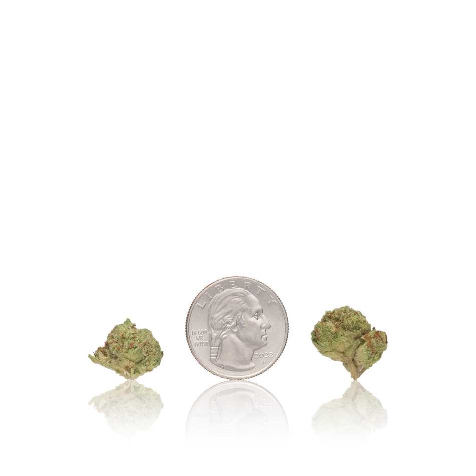 Budget Smalls
